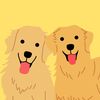 Niko + Koda | Golden Boys
