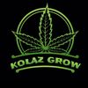 kolazgrow