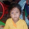 raja12341328