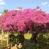 userlybjnhyen190984
