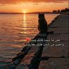 hasoon_751