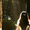 balanbalan_1