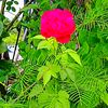 eshita.rishi