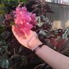 angel_latif4