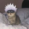 zeenglx