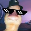 honouredgoose