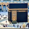 user177061600
