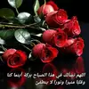 mama.irak