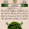 user7206322361069