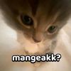 khadijahh_nasution