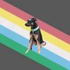 service.canines