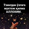 mashaollox87