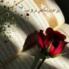 user47981331747814