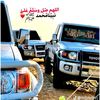 zhis31