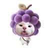 anktungall1