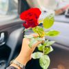 _lovelly45