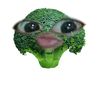 zila_hoon