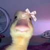 0avj_