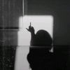 shasya.vic