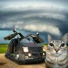 tsovooluvscats