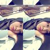 vanillyee_7