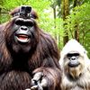 storyofbigfoot