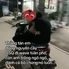 doilonjqka22