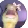 roro66_5