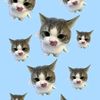 raaa_ajaaaaaaaaaa17