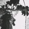 nul_n4