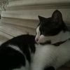 maira_2757