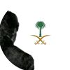 فاستر 🇸🇦 :