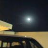 lmar08751