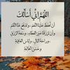 user8129256527781