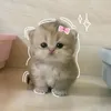 prettynash936