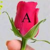 user863724441