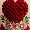 user94103473181678