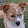 kuba_0914