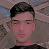 sis_t88