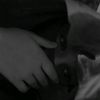 vjtfofsorsxn2849984443