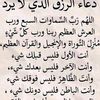 fufch231