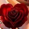 user7654031488812