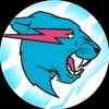 mrbeast_fans299