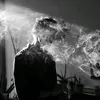 _.8.1i