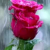 user3043172102717