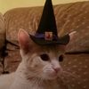 lucy_sturniolo1