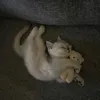 wwoooowww8
