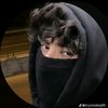 user10405709786904