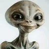 thoth6528