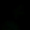 .nk554
